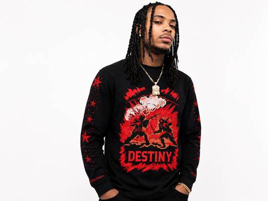 DESTINY CLASH LONGSLEEVE
